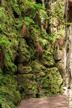 Lud Kilisesi 'nin Sir Gawain uçurumu ve İngiltere' nin Peak District Ulusal Parkı 'ndaki The Roaches' taki Yeşil Şövalye ününü..