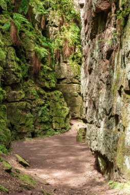 Lud Kilisesi 'nin Sir Gawain uçurumu ve İngiltere' nin Peak District Ulusal Parkı 'ndaki The Roaches' taki Yeşil Şövalye ününü..
