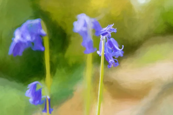 Digital Målning Färgglada Solljus Lila Blåklocka Blommor Mot Naturlig Skogsmark — Stockfoto