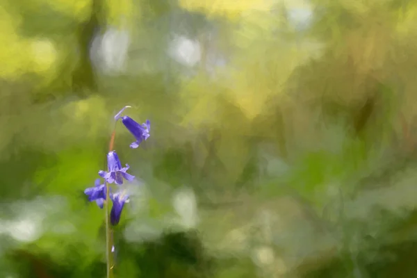 Pintura Digital Flores Color Púrpura Color Brillante Sobre Fondo Bosque — Foto de Stock