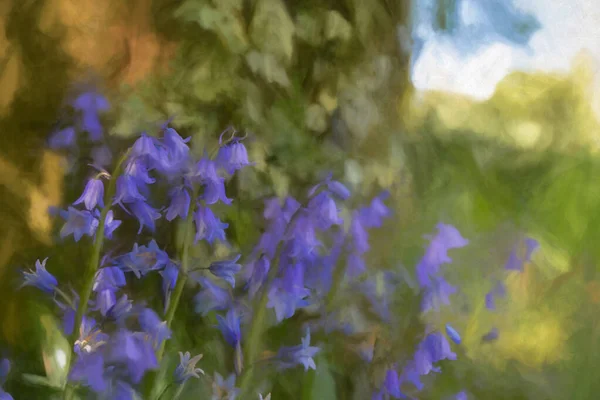 在自然的林地背景上 用浅浅的田野深度 对着色彩艳丽的紫蓝铃花进行数字绘画 — 图库照片