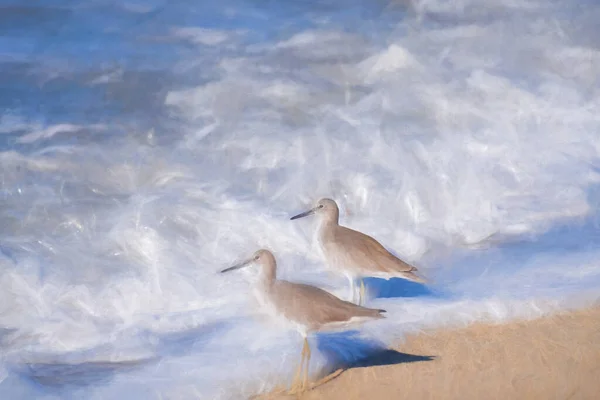 Pintura Digital Dois Sandpipers Comuns Que Vagueiam Mar Uma Praia — Fotografia de Stock