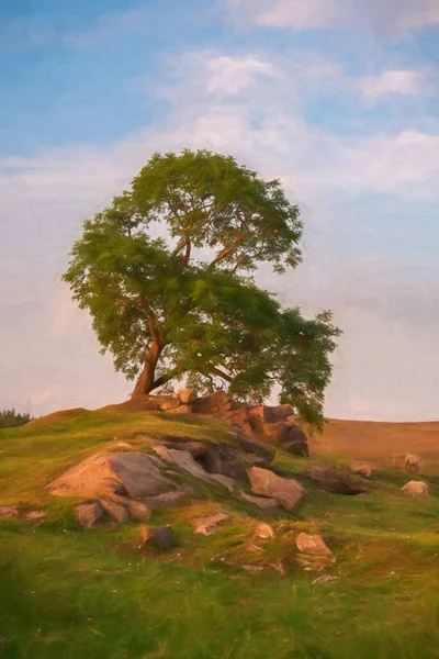 Digital Målning Ett Ensamt Träd Vid Solnedgången Nära Ramshaw Rocks — Stockfoto