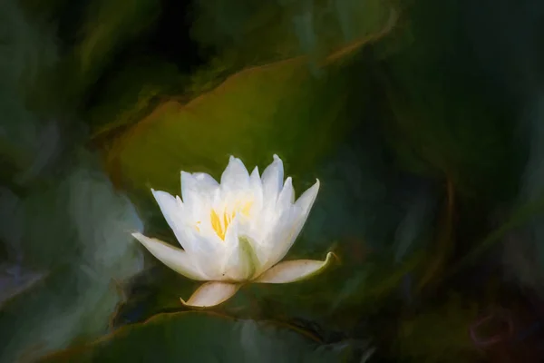 Yeşil Zambakların Arasında Beyaz Bir Nilüfer Çiçeğinin Dijital Tablosu — Stok fotoğraf