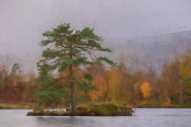 İngiliz Gölü Bölgesi Tarn Hows 'da sabah karamsarlığının dijital tablosu. Sonbaharda Yewdale Crag ve Holme Fell manzaralı..