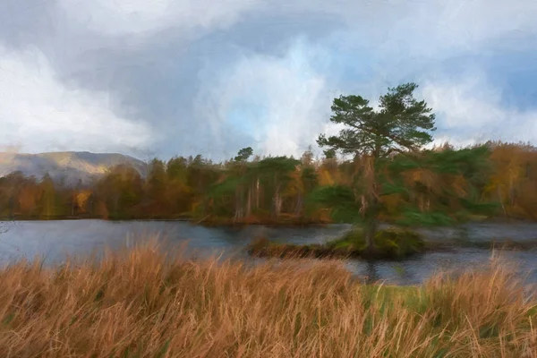 英国湖区的Tarn Hows拍摄了多愁善感的晨光 秋天还可以看到Yewdale Crag和Holme Fell的照片 — 图库照片