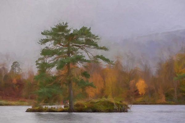 İngiliz Gölü Bölgesi Tarn Hows 'da sabah karamsarlığının dijital tablosu. Sonbaharda Yewdale Crag ve Holme Fell manzaralı..