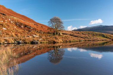 Kuzey Galler 'deki Snowdonia Ulusal Parkı' nda kış boyunca Llyn y Dywarchen, Snowdon ve Y Garn 'ın panoramik manzarası.