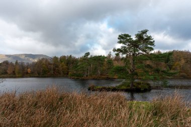 İngiliz Gölü Bölgesi Tarn Hows 'da güzel ve karamsar bir sabah. Yewdale Kayalığı manzaralı ve Holme Fell sonbaharda düştü..