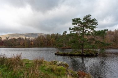 İngiliz Gölü Bölgesi Tarn Hows 'da güzel ve karamsar bir sabah. Yewdale Kayalığı manzaralı ve Holme Fell sonbaharda düştü..