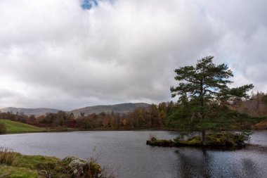 İngiliz Gölü Bölgesi Tarn Hows 'da güzel ve karamsar bir sabah. Yewdale Kayalığı manzaralı ve Holme Fell sonbaharda düştü..