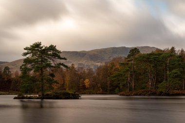 İngiliz Gölü Bölgesi Tarn Hows 'da güzel ve karamsar bir sabah. Yewdale Kayalığı manzaralı ve Holme Fell sonbaharda düştü..