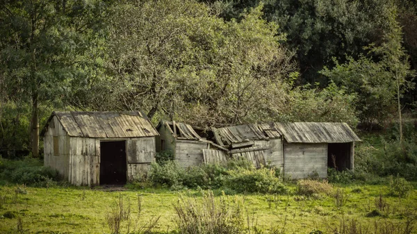 イギリスの田舎にある廃材の木造建築物と森林 — ストック写真