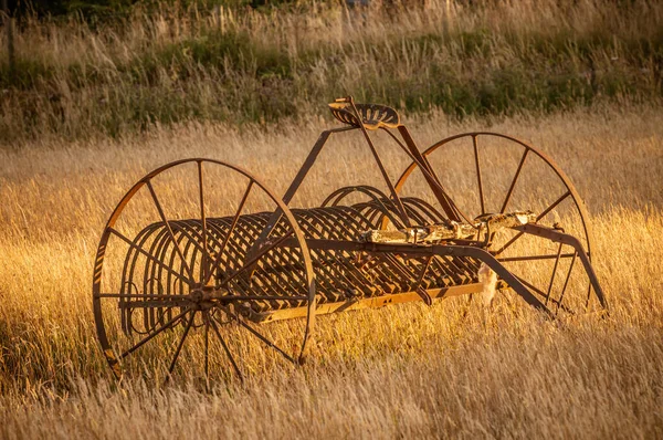 Rastrillo Heno Antiguo Campo Agricultores Trigo Atardecer — Foto de Stock