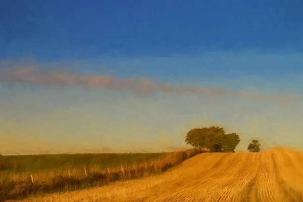 Digital Painting Trees Horizon Wheat Field Has Been Cut Harvest — Stock Photo, Image