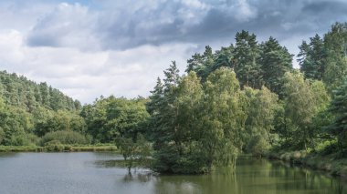 Cannock Chase 'deki balıkçı göllerinin orman ve kıyı şeridi, Staffordshire' daki AONB.