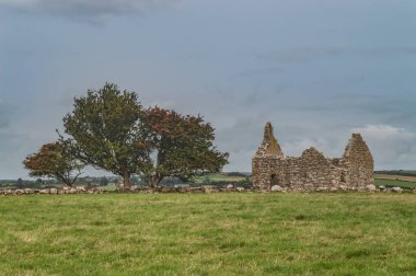 Üç ağaç ve Capel Lligwy 'nin harabe kilisesi.