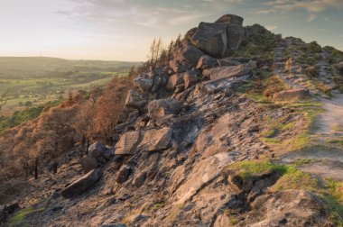 Gün batımının altın saatinde Tepe Bölgesi Ulusal Parkı 'ndaki hamamböceklerinin fundaları ve kayaları.