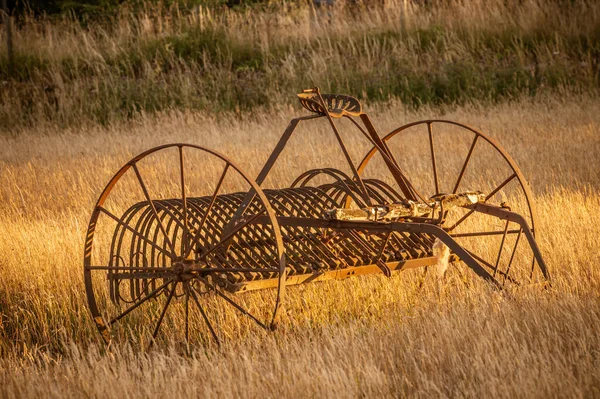 日落时分农民麦田里古老的干草耙 — 图库照片
