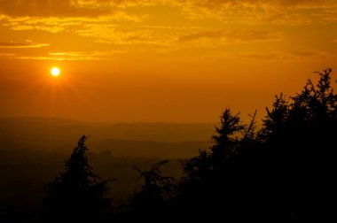 Peak District Ulusal Parkı 'ndaki hamamböcekleri için portakal rengi günbatımı ve ağaç siluetleri..