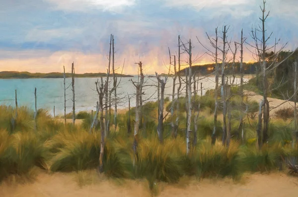Pintura Digital Pôr Sol Dunas Areia Árvores Mortas Com Ilha — Fotografia de Stock