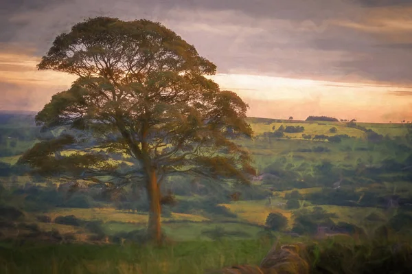 Digitales Gemälde Eines Einsamen Baumes Bei Sonnenuntergang Auf Den Kakerlaken — Stockfoto