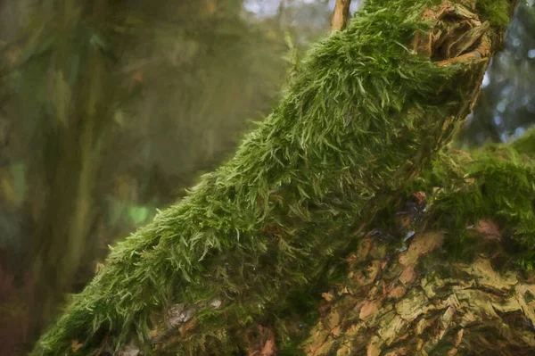 Cyfrowy Obraz Gałęzi Drzewa Lesie Pokrytego Pięknym Zielonym Mchem — Zdjęcie stockowe