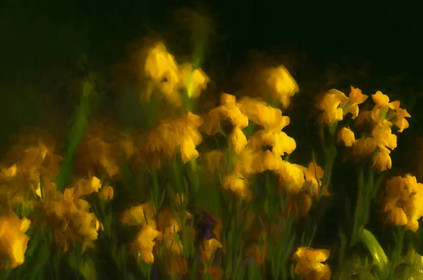Ψηφιακή Ζωγραφική Όμορφες Ανοιξιάτικες Κίτρινες Και Μωβ Ταπετσαρίες Στον Κήπο — Φωτογραφία Αρχείου