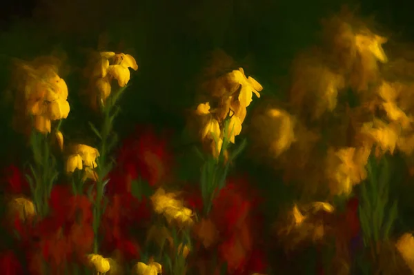 Pintura Digital Hermosas Flores Color Amarillo Primavera Rojo Jardín Con — Foto de Stock