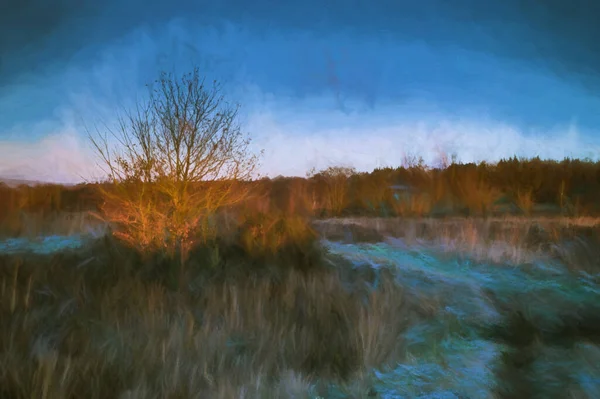 Digital Painting Dawn Light Frozen Pond Wetley Moor Staffordshire Contrasting — Stock Photo, Image