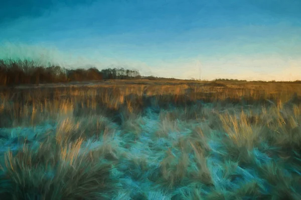 Digitaal Schilderij Van Dageraad Licht Een Bevroren Vijver Wetley Moor — Stockfoto