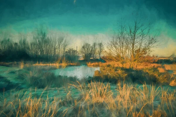 ストフォードシャー州ウェトリー ムーアの凍った池の夜明けの光のデジタル絵画 影に隠れている凍てついた湿原とは対照的に — ストック写真