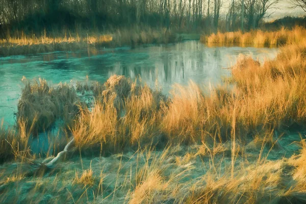 Digital Painting Dawn Light Frozen Pond Wetley Moor Staffordshire Contrasting — Stock Photo, Image