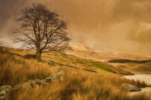 Digitale Malerei Von Panoramaansichten Von Llyn Dywarchen Snowdon Und Garn — Stockfoto