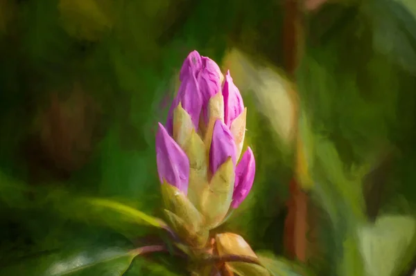 Pintura Digital Brote Rododendro Rosa Púrpura Brillantemente Iluminado Por Sol — Foto de Stock
