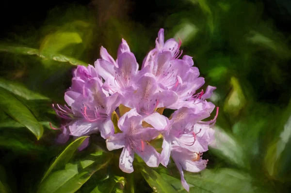 Pintura Digital Brote Rododendro Rosa Púrpura Brillantemente Iluminado Por Sol — Foto de Stock