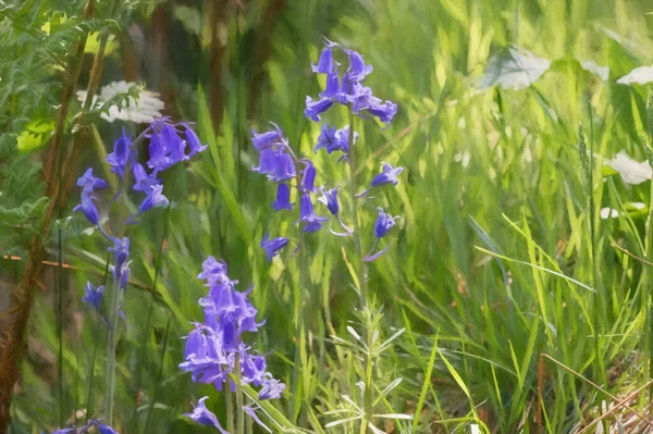 Digitale Malerei Von Farbenfrohen Sonnenbeschienenen Lila Blauglockenblumen Vor Natürlichem Grünem — Stockfoto