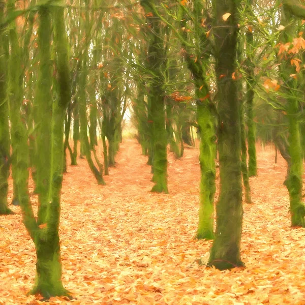 Yosun Yeşili Ağaçların Dijital Suluboya Resimleri Staffordshire Park Hall Country — Stok fotoğraf