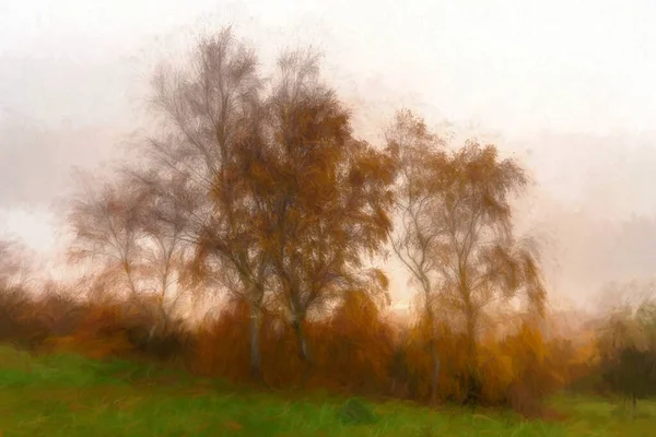 Digitální Akvarel Stříbrné Břízy Zlatými Podzimními Listy Park Hall Country — Stock fotografie