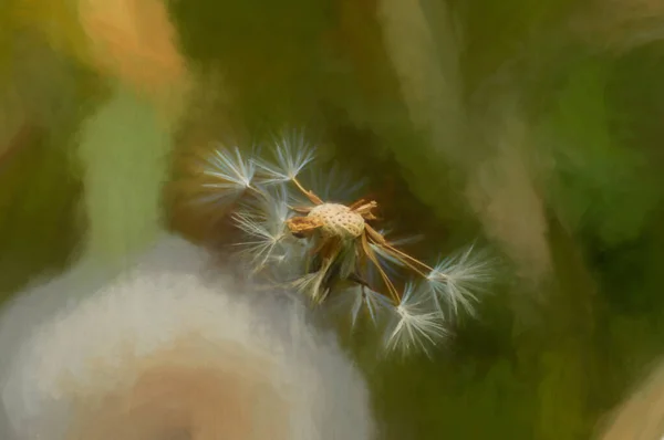 Digitale Malerei Eines Löwenzahn Pappus Vor Einem Natürlichen Grünen Hintergrund — Stockfoto