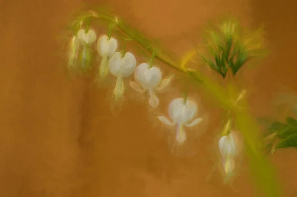 Digitális Festészet Egy Szép Sor Fehér Vérző Szív Virág Természetes — Stock Fotó