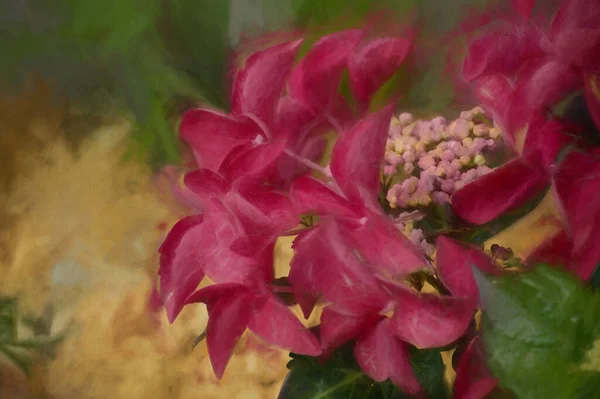 園内には 鮮やかなピンクと赤の紫陽花の蕾と花弁のデジタル絵画が 浅い奥行きで描かれています — ストック写真