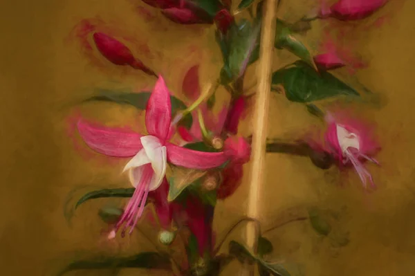 Pintura Digital Belas Lindas Deslumbrantes Flores Fúcsia Rosa Branco Ambiente — Fotografia de Stock