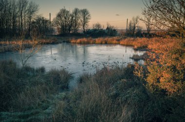 Wetley Moor, Staffordshire 'daki donmuş bir gölde altın şafak ışığı kırılıyor. Hala gölgede olan donmuş bozkırın aksine..