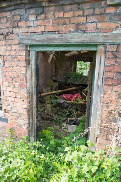 赤レンガの壁に対して放棄された古いデリート 腐敗した緑のドアフレーム 生い茂った植物や竹で — ストック写真