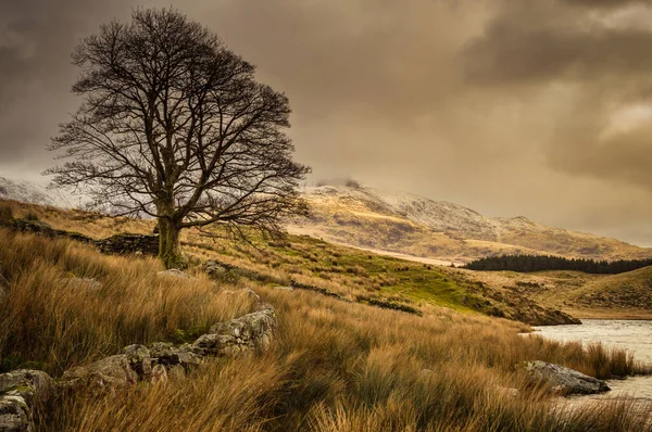 Kuzey Galler 'deki Snowdonia Ulusal Parkı' nda kış boyunca Llyn y Dywarchen, Snowdon ve Y Garn 'ın panoramik manzarası.