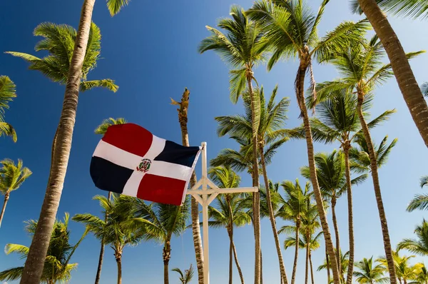 Dominik Cumhuriyeti bayrağı rüzgarda dalgalanıyor palmiye ağaçları arasında ve Karayipler 'de mavi bir gökyüzüne karşı..