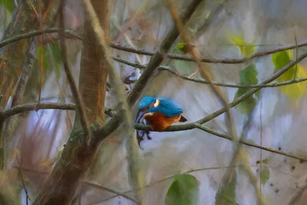 Digital Painting Common Kingfisher Alcedo Atthis Also Known Eurasian Kingfisher — Stock Photo, Image