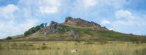 Digitaal Schilderij Van Een Panoramisch Uitzicht Paarse Heide Bij Roaches — Stockfoto