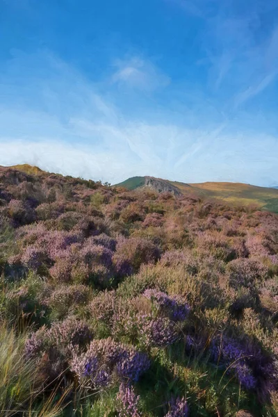 Digital Painting Panoramic View Purple Heather Roaches Staffordshire Hen Cloud — Stock Photo, Image